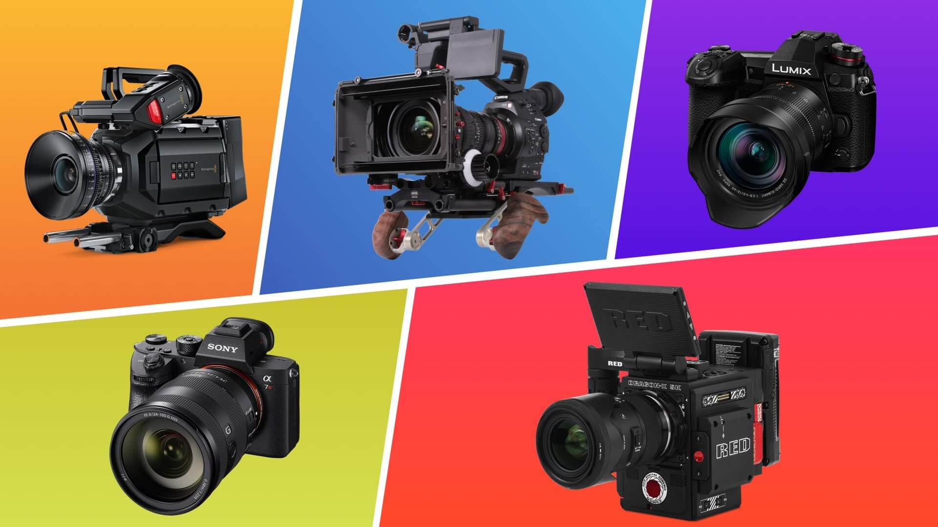 The Best Cameras for Filming a Masterclass in London in 4K - 1