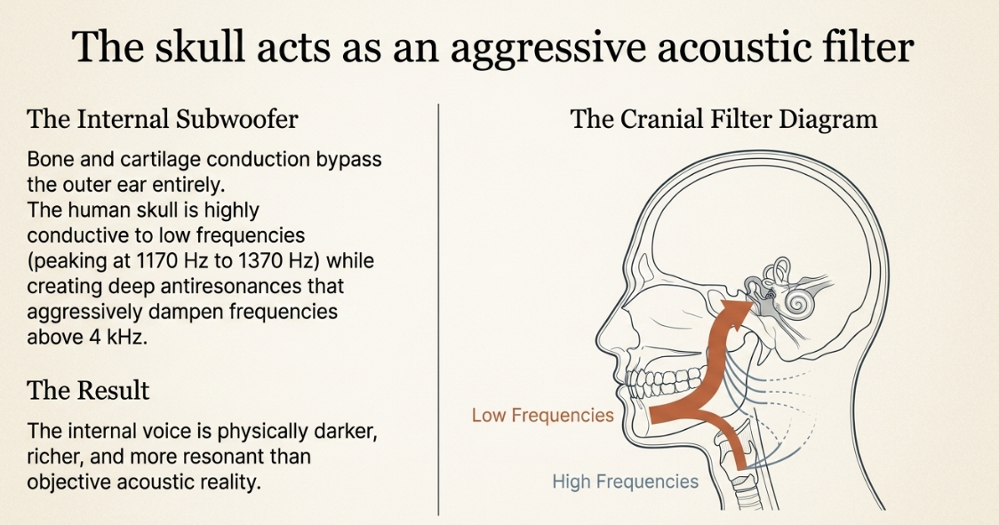 The Science and Psychology of Voice Confrontation: A Guide to Overcoming Microphone Nerves - 3